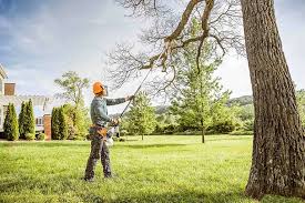 Best Tree Health Inspection  in El Granada, CA